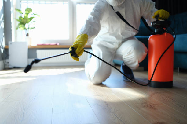 Reliable Odor Removal contractor in Anthony, TX by Dulley Family Biohazard Services